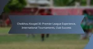 Cheikhou Kouyaté: Premier League Experience, International Tournaments, Club Success